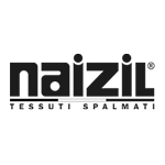 naizil logo